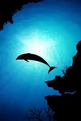 Play SUBMARINE LW[FL ver.]